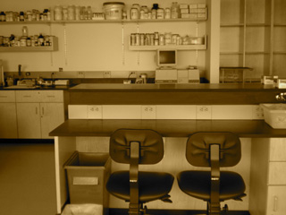 Photo of a biology lab bench, with two chairs, and shelves of chemical bottles in the background.