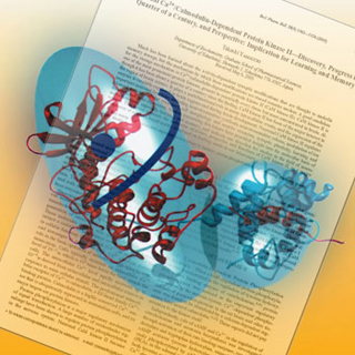 A color illustration of CAM kinase II and its activator calmodulin, floating over an image of a journal article. 