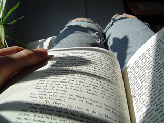 Open book on the lap of a person wearing ripped jeans. Sunlight streaks across pages of the book.
