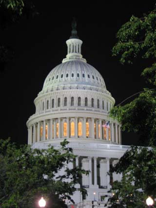 Image of the US Capitol Building, Washington DC.